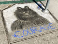 Honorable Mention-Courage by Steve Rothman
